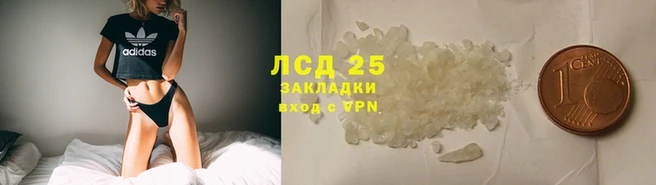 PSILOCYBIN Алексин