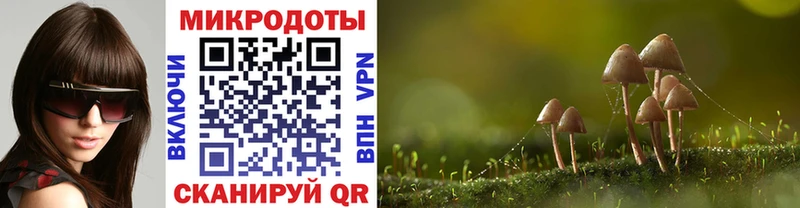 Псилоцибиновые грибы Psilocybine cubensis  Ужур 