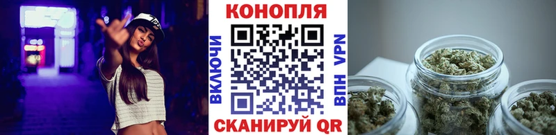 Бошки Шишки SATIVA & INDICA  купить наркотики сайты  Ужур 